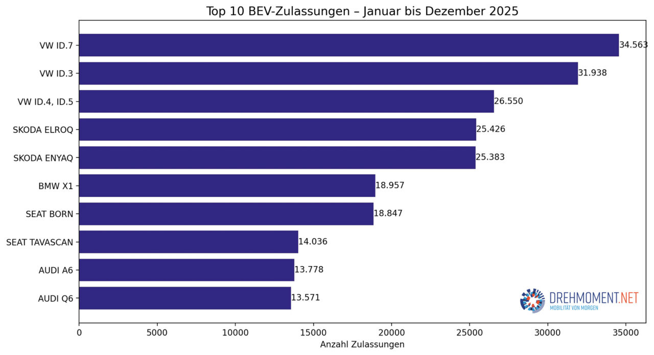 Top Ten E-Auto Zulassungen im Jahr 2025